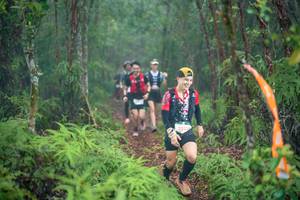 BIB: 5252
                            <button type="button" onclick="openModal(24702473)" class="btn btn-primary btn-sm float-right btn-popup" data-toggle="modal" data-target=".modal-high-quality">
                        <i class="fas fa-shopping-cart"></i> Add to Cart
                    </button>
                                            <button type="button" onclick="isThisMe(24702473, true)" class="btn btn-success btn-sm float-right btn-popup btn-isme hidden" data-toggle="tooltip" data-placement="bottom" title="นี่คือรูปของคุณใช่ไหม คลิกที่นี่เพื่อเอาเข้าอัลบั้ม">
                        <i class="fas fa-plus"></i> Add to album
                    </button>
                    <button type="button" onclick="isThisMe(24702473, false)" class="btn btn-warning btn-sm float-right btn-popup btn-isnotme hidden">
                        <i class="fas fa-ban"></i> Remove from album
                    </button>